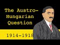 The Austro-Hungarian Question (1914-1918)