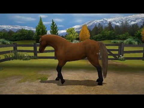 My Horse And Me 2 Pc Free