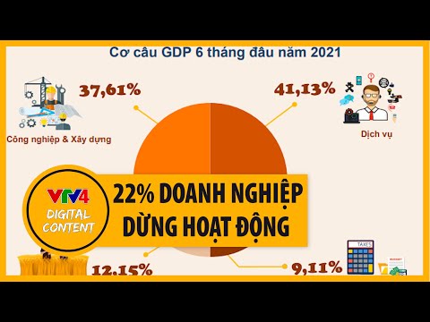 Tổng quan kinh tế Việt Nam 6 tháng đầu năm 2021 | VTV4