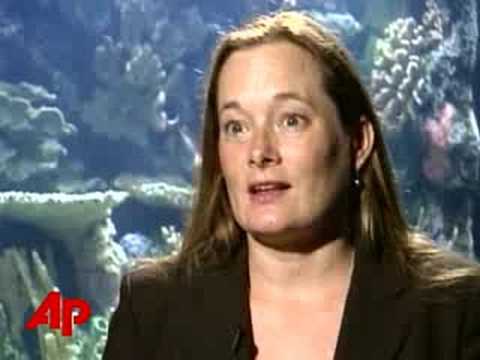 coral reef weather