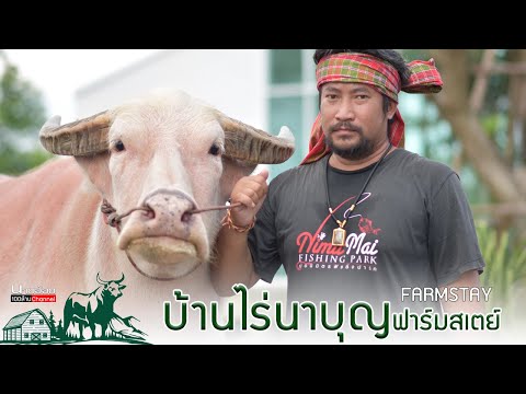บ้านไร่นาบุญควายงามฟาร์มสเตย์ จ.นครนายก