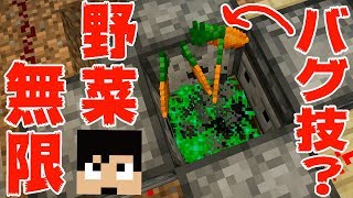 【カズクラ】バグ技?で野菜無限製造!マイクラ実況 PART202