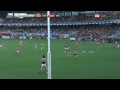 Nic Nat flies - AFL