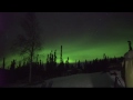 Live Northern Lights from Sirius Sled Dogs