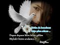 Zülfü Livaneli - Böyledir Bizim Sevdamız ... klip izle