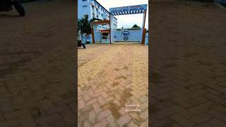 Doboka Nri School Hojai Am