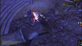 WoW quest - Survey Says WoW quest - Survey Says