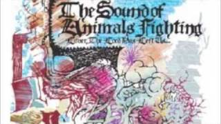Watch Sound Of Animals Fighting Stockhausen Es Ist Ihr Gehirn Das Ich Suche video