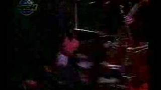 Watch Animal Sobrevivencia video
