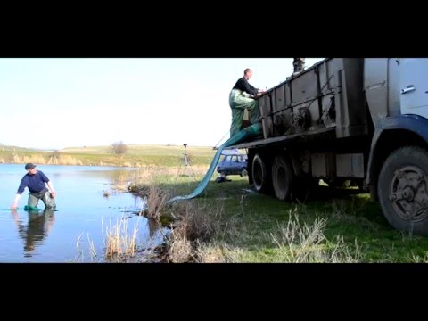 заинское водохранилище рыбалка заинское водохранилище рыбалка