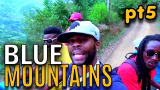 Kino Reach Blue Mountain Coffee Farm (Pt5) | EP692 | JAMAICA GOOD LIFE