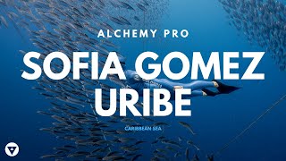 Alchemy Pro Carbon Freediving Fins Ft. Sofia Gomez Uribe