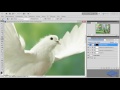 Видео уроки по работе с Photoshop. (Елена Минакова) Видео уроки по работе с Photoshop. (Елена Минакова)