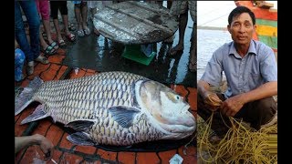 Bắt được cá lạ về bán giá 1,5 tỷ chưa kịp vui mừng thì người đàn ông này đã phải hối hận ngay sau đó