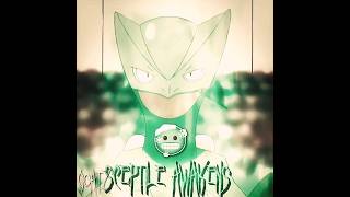 Sceptile And Blaziken Awakens Pokemon