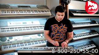 Синтезатор CASIO LK-120 Синтезатор CASIO LK-120