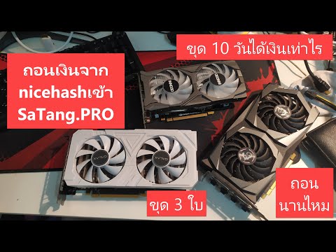 ถอนเหรียญบิตคอยน์ จาก Nicehash เข้า satang pro การ์ดจอ 2-3 ใบ ขุด 10 วันได้เงินเท่าไร