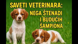 Lovna Kinologija - Saveti Veterinara Nega Štenadi I Budućih Šampiona