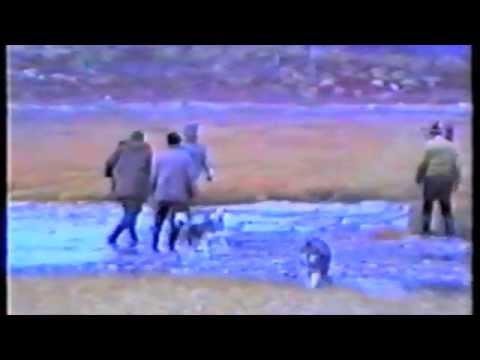 видео охота и рыбалка на колыме видео видео охота и рыбалка на колыме видео
