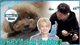 Hyun Moo Tells Key His Dog Is Fat L Home Alone Ep 437 Eng Sub