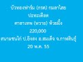ไก่เก่ง