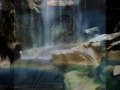 Feel Flows Video preview