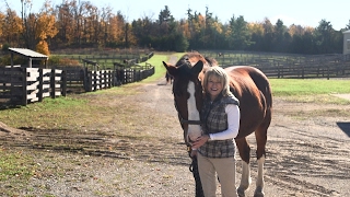 My Real Estate Story | Cheryl Dorricott