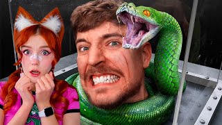 Взгляни В Лицо Своему Страху, Чтобы Выиграть $800,000 Mrbeast Мистер Бист Реакция