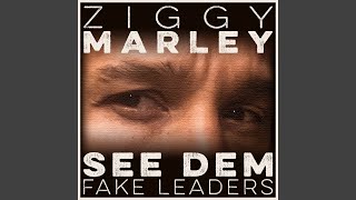 See Dem Fake Leaders See Dem Fake Leaders