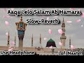 Aaqa Lelo Salam Ab Hamara | Lofi salam | Slow+Reverb Naat | Heartaoching ❤️ Naat | (LofiNaat11)