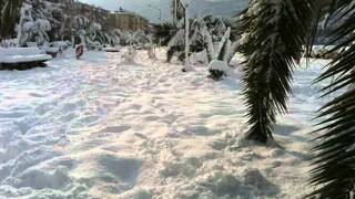 Watch Vonda Shepard Winter Wonderland video