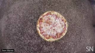 Watch fly larvae eat a pizza | Science News