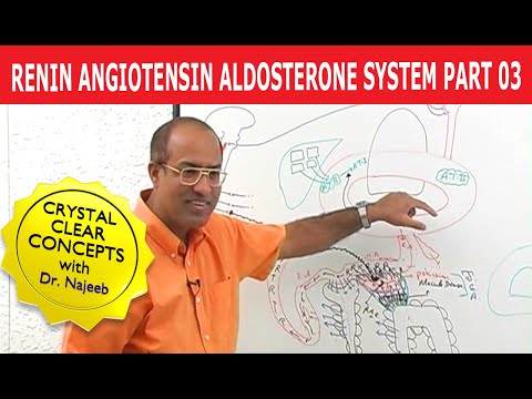 a brief description of aldosterone Steroid hormone biosynthesis full description or abstract steroid hormones derived from cholesterol are a class of biologically active compounds in vertebrates. a brief description of aldosterone Steroid hormone biosynthesis full description or abstract steroid hormones derived from cholesterol are a class of biologically active compounds in vertebrates.