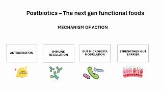 Postbiotics The Next-Gen Functional Foods