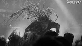 Watch Decapitated Post Organic video