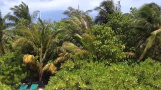 Holiday Island 2014 Maldives