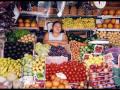videos salvadoreños, frutas tropicales de El salvador