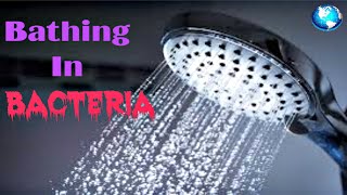 Bathing In Bacteria The Unexpected Dangers In Your Daily Shower