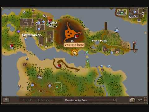runescape fishing bot download