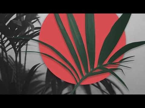 High Alert Video