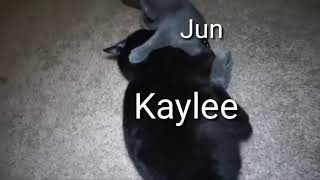 Jun Vs. Kaylee