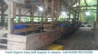 Fresh Dairy Milk Jakarta - Susu Segar Murni Jakarta