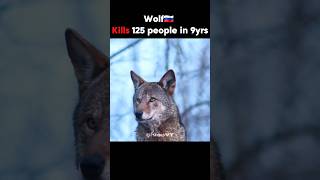 Animals Kills In The World