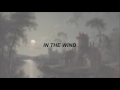 view In The Wind