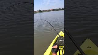 First Time Ocean Kayak Fishing Hooking Monster Redfish