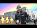 Сибирский  Мегаполис утопает в дерме