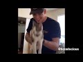 Hood Animal Voiceovers Part 52