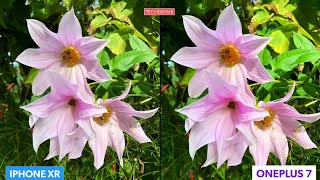 Oneplus 7 vs Iphone Xr Camera Comparison Test || #oneplus7, #iphoneXr, #TECHBUKHAR, 7 vs Xr camera