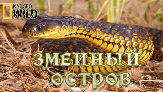 Змеиный Остров.  #Документальный Фильм. National Geographic 16+