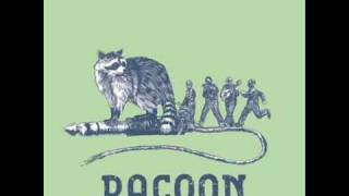 Watch Racoon Run Out video